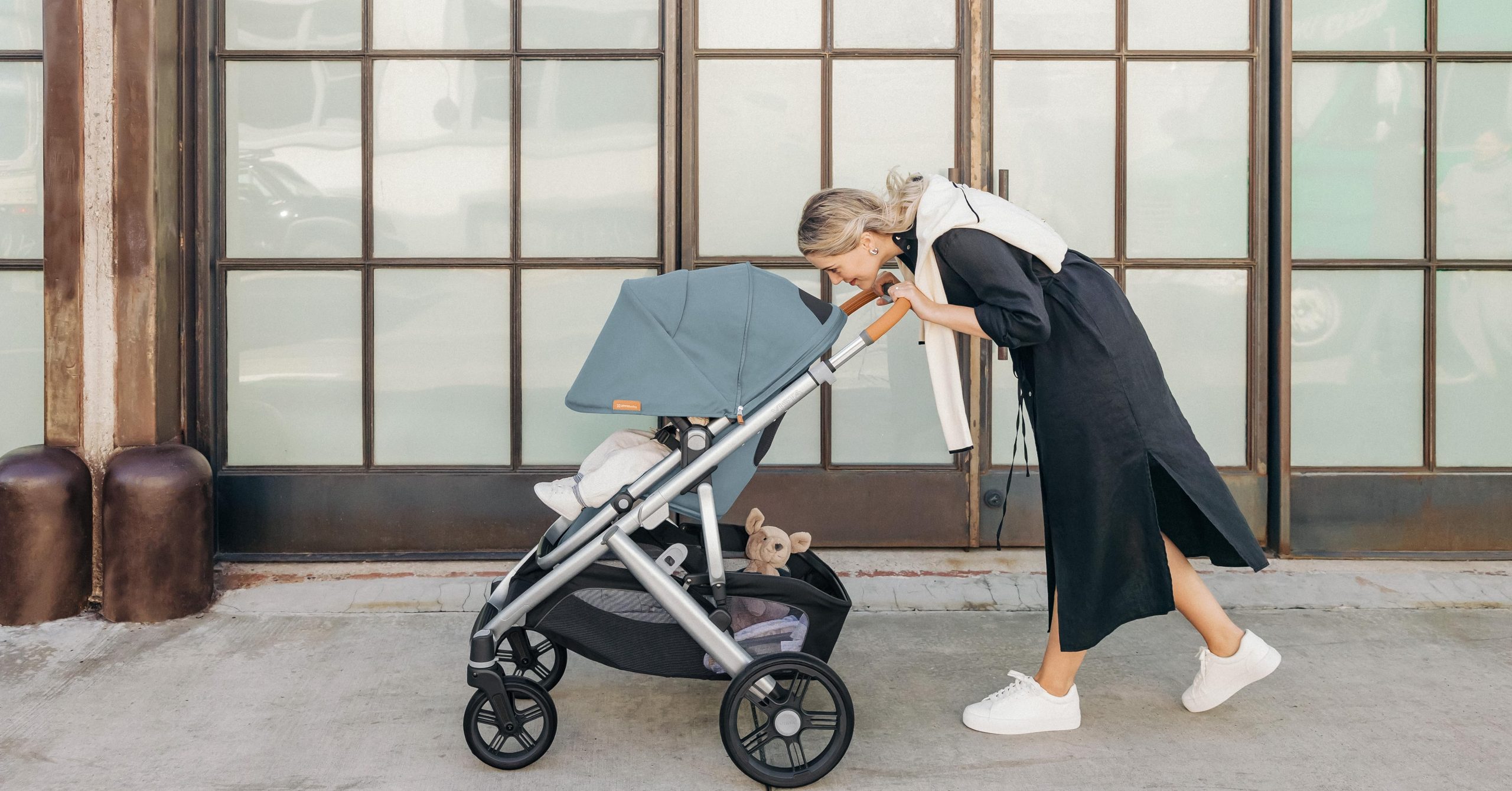 Best UPPAbaby Vista Add-Ons