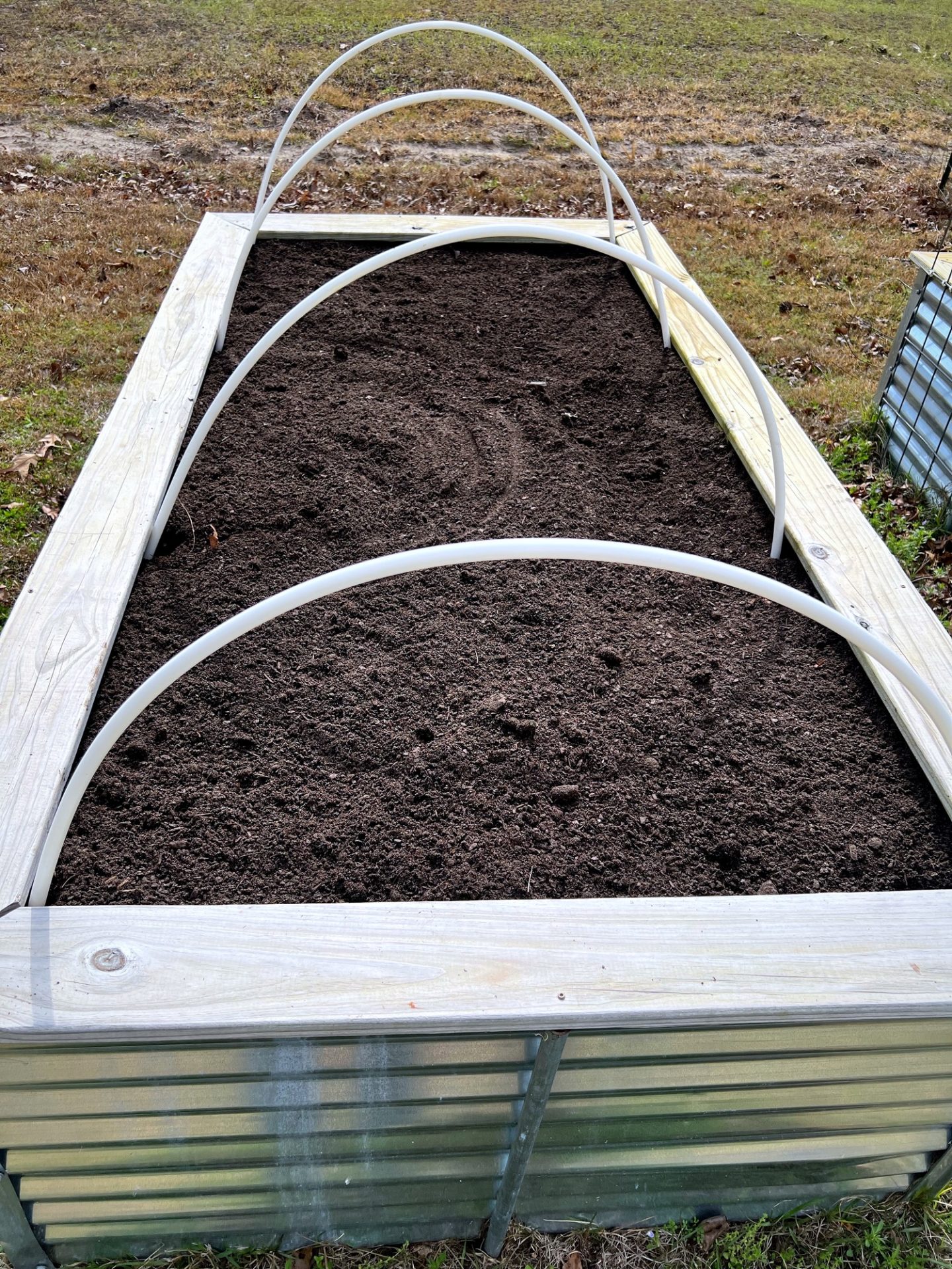 Corrugated metal raised bed with bare white PVC hoops arched over empty soil