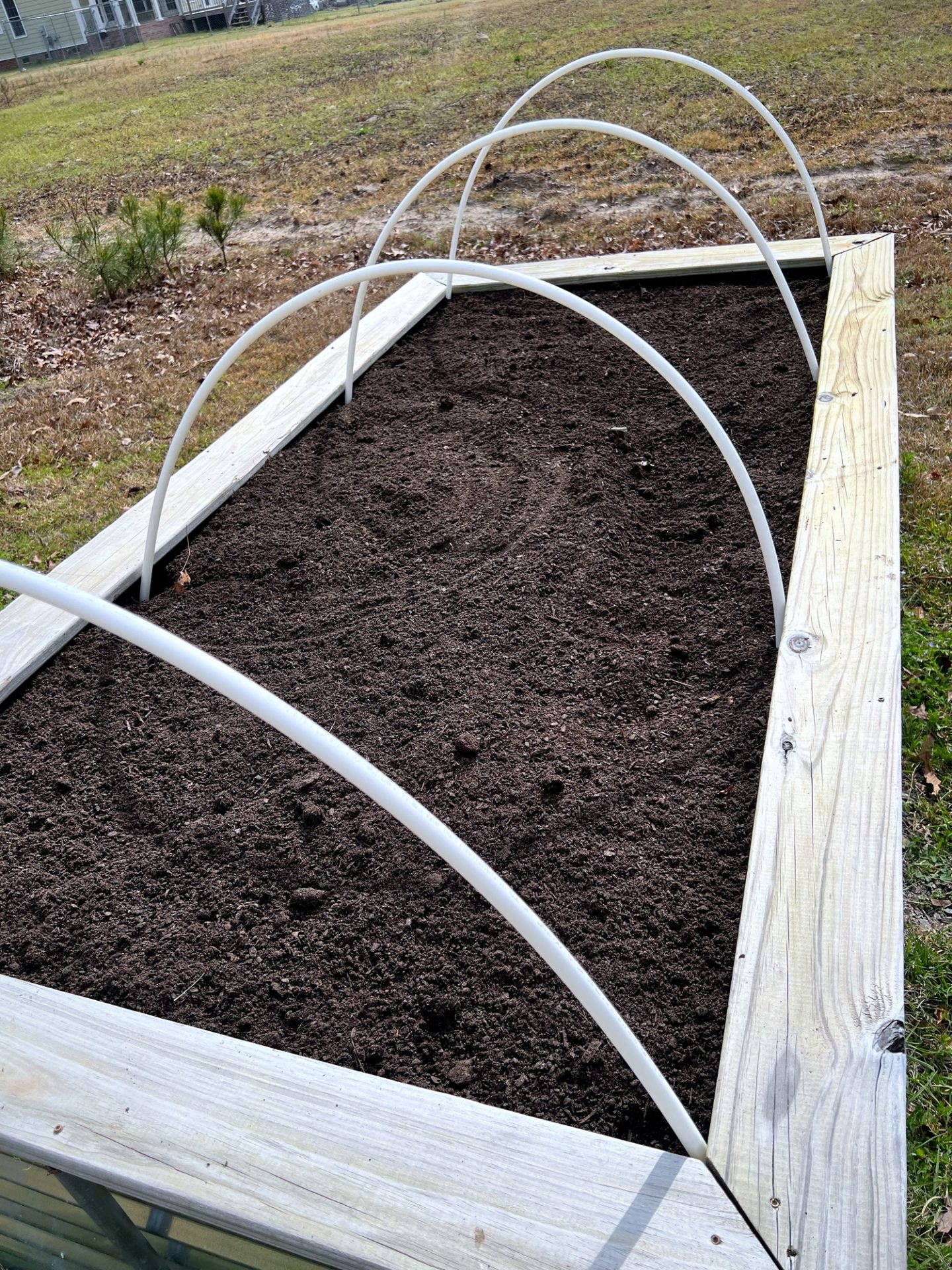 Wood raised bed with bare white PVC hoops over dark soil