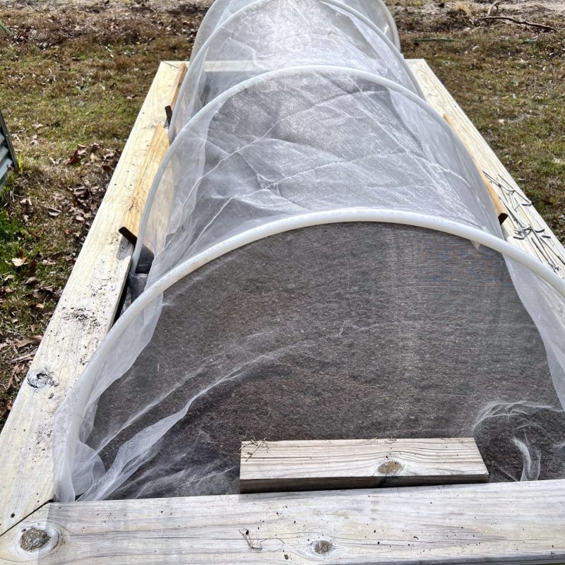 Green ultra-fine mesh draped and secured over PVC hoops on raised beds