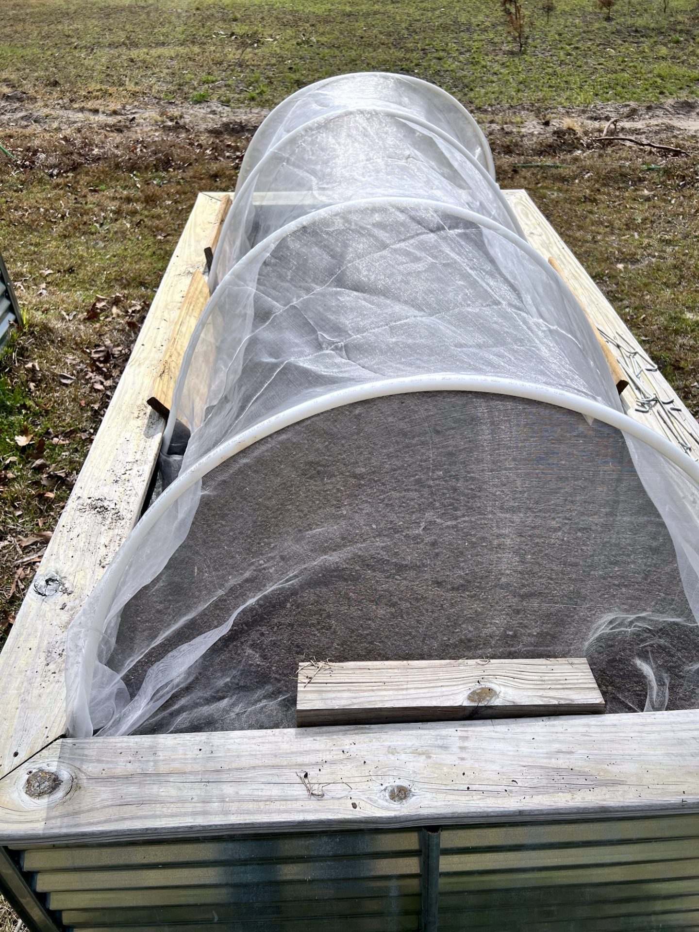 Row Covers and Hoops: How I Protect Winter Greens from Frost