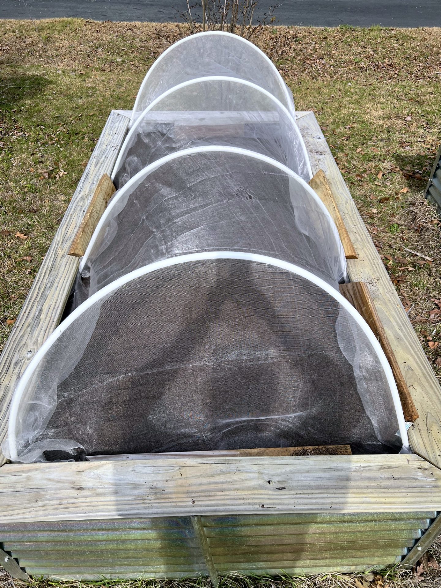 Side view of a long raised bed with mesh cover stretched over PVC hoops