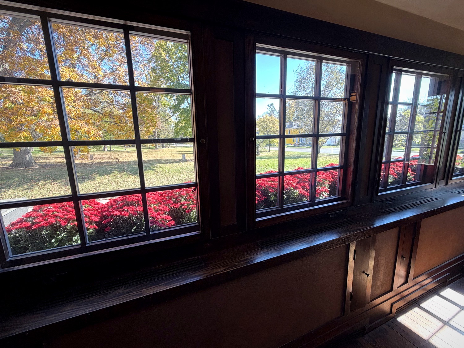 View through Prairie casement windows to red mums, lawn, and autumn trees outside Westcott House