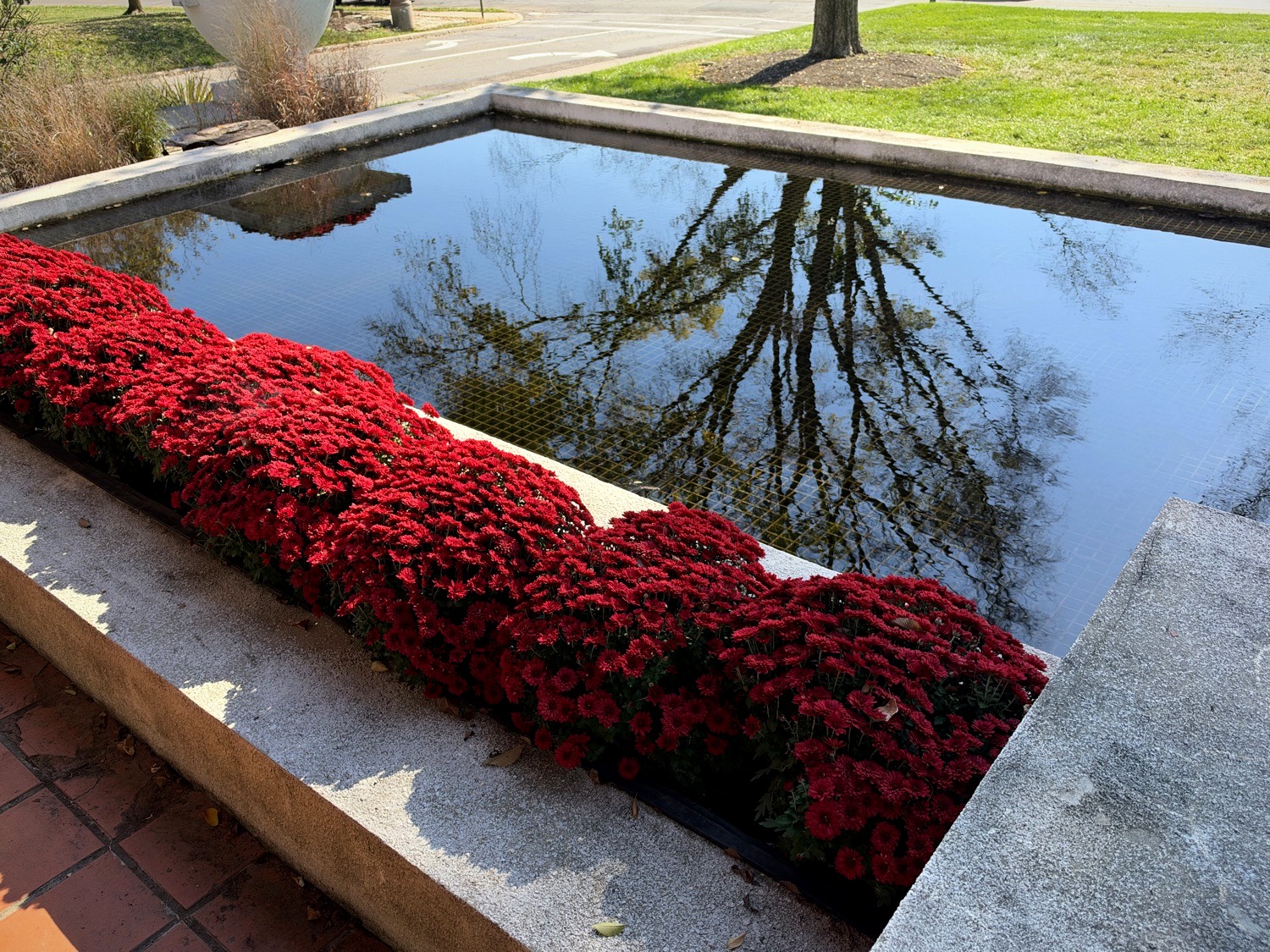 Rectangular reflecting pool bordered by red chrysanthemums at Westcott House
