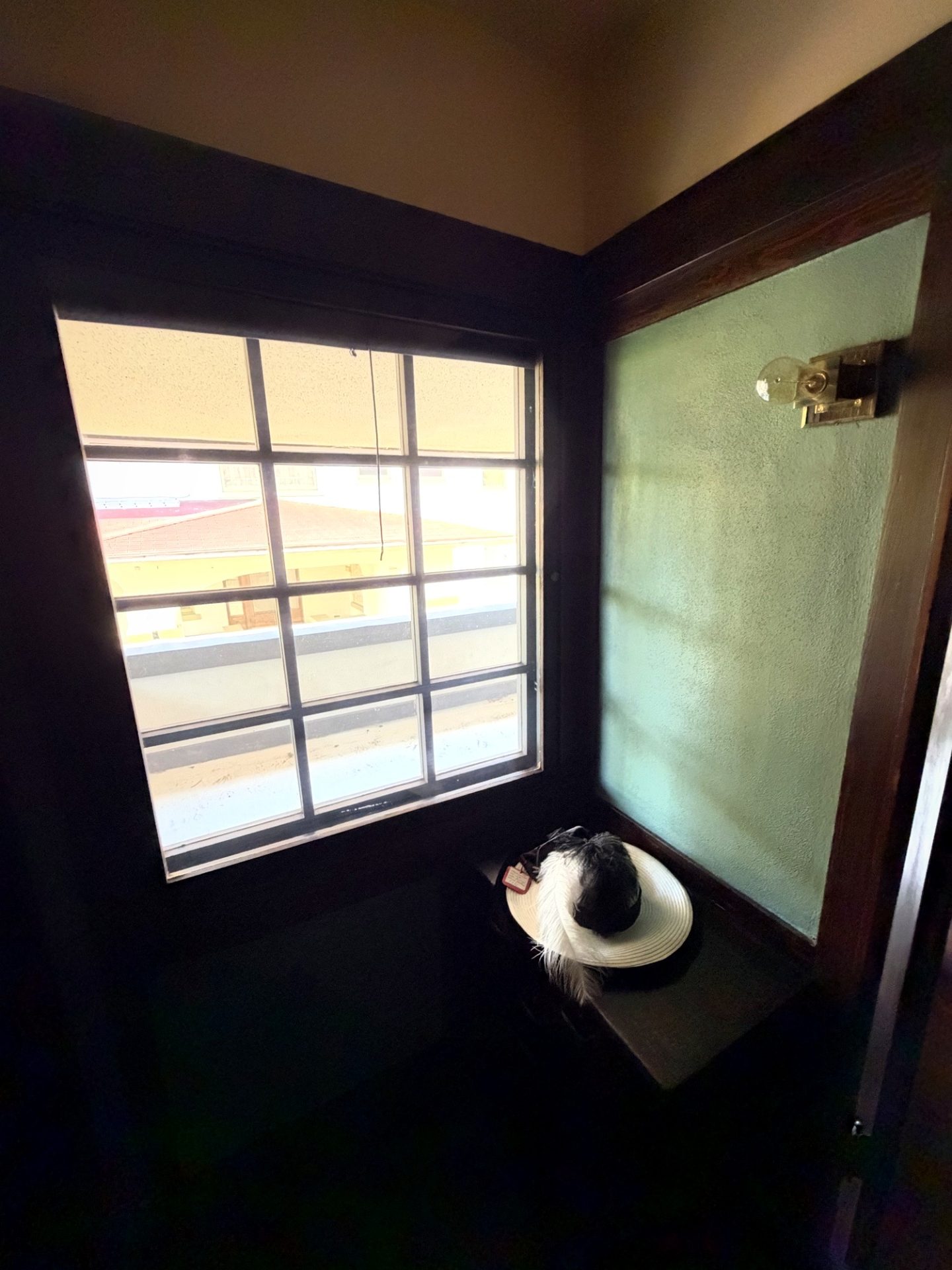 Period white hat with black plume on a dark wood table by a multi-pane window at Westcott House