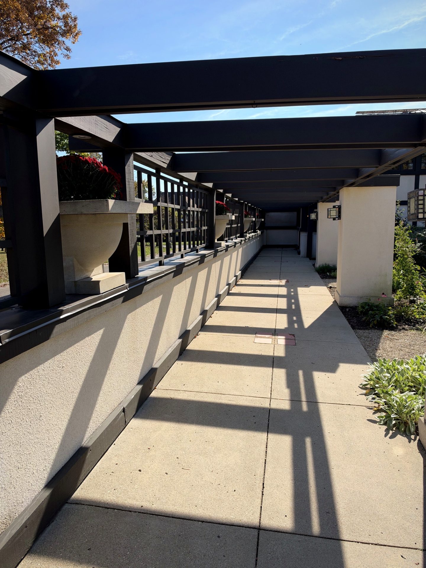 Westcott House pergola path with geometric shadows, cream pillars, and red flowers in concrete urn