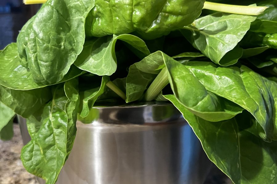Bunch of fresh spinach piled in a stainless steel pot on a granite countertop
