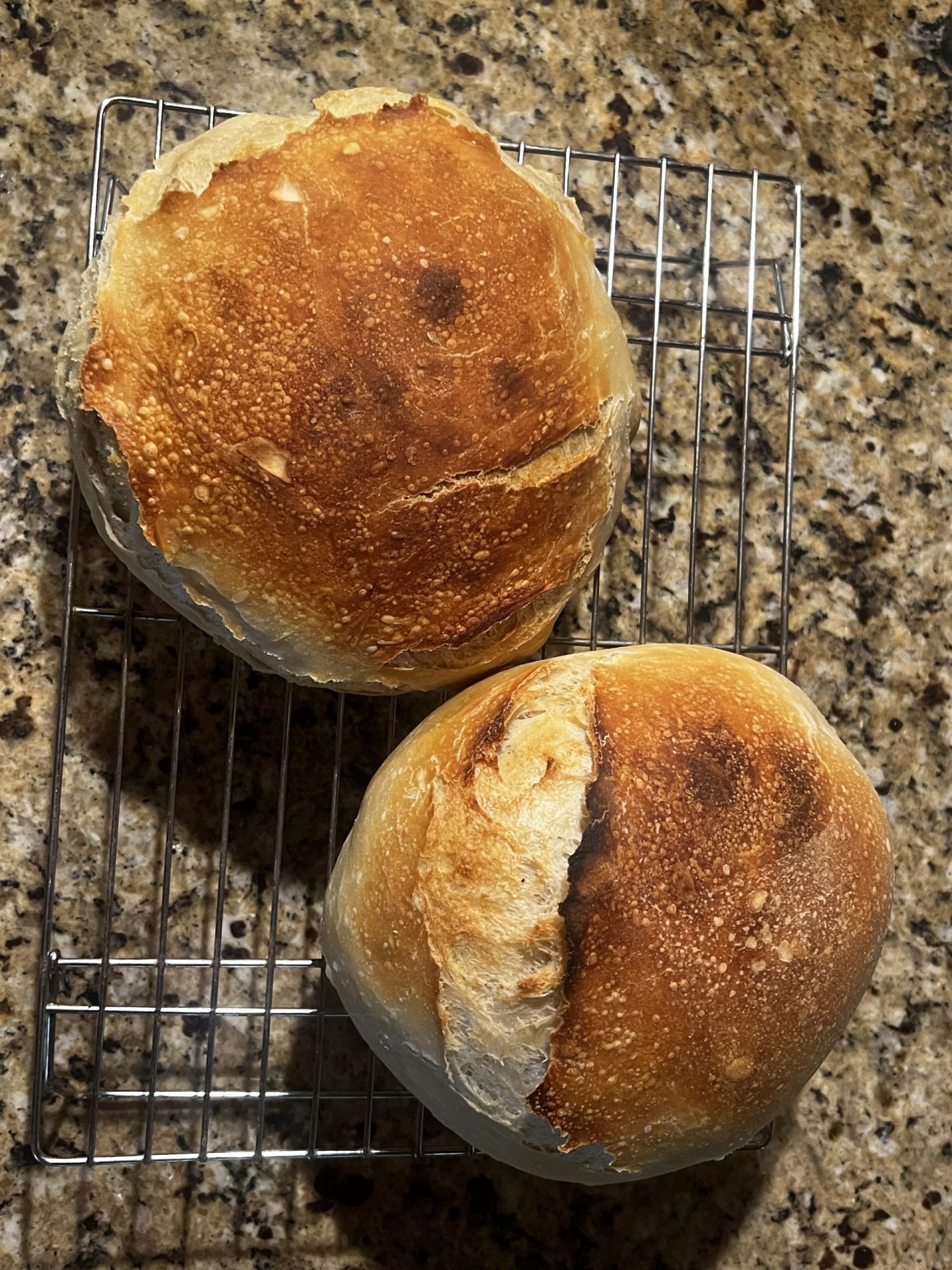 Two loaves of homemade Italian bread cooling on a wire rack