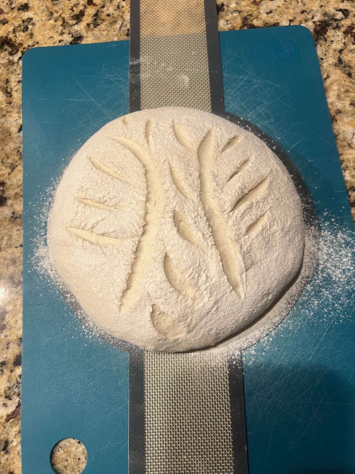 Scored no-knead bread dough on a silicone bread sling, ready for the Dutch oven