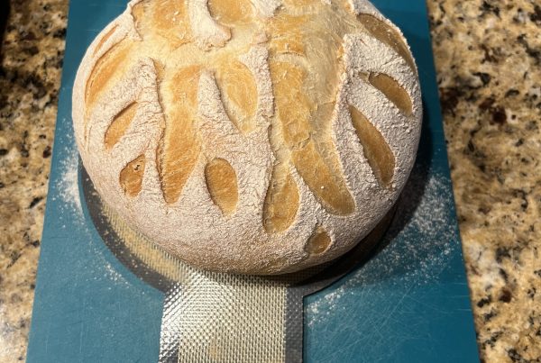 Pap Steve's no-knead Italian bread made with Polselli 00 flour, scored and baked golden